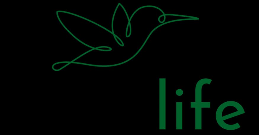 Provilife, LLC - New York and New Jersey web development and digital marketing client of Excalibur Interactive Solutions